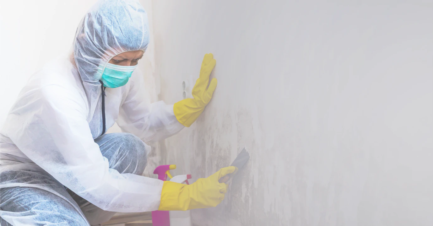 close-up-female-worker-of-cleaning-service-removes-mold-from-the-wall
